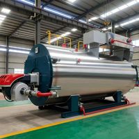 Chaudière à vapeur compacte 1t/h, 700 kW, à gaz et mazout, générateur de vapeur automatique pour hôtels et blanchisseries commerciales