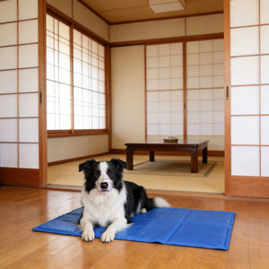 HANERSHI Kühlende Wasserdichte Faltbare Kühlunterlagen Schnelle Kühlung Sanfte Hundekühlung Einfach zu Reinigen Innen-/Außenbereich - Product Image 5