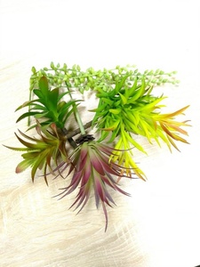 <span class=keywords><strong>Pas</strong></span> cher en gros réaliste faux unpotted mini <span class=keywords><strong>plantes</strong></span> artificielles succulentes assorties 16 pièces pour la décoration de jardin - Product Image 2