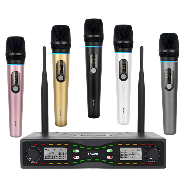 Professional UHF Wireless Microphone System Dual Handheld Cardioid XLR Rechargeable Stable Signal for Karaoke Stage DJ Use