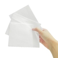 Feuilles de détergent à lessive en papier solide écologique 60 détachants jetables parfumés pour vêtements