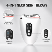 Masseur facial multifonctionnel pour la maison avec contrôle de la minuterie pour la relaxation des muscles du visage