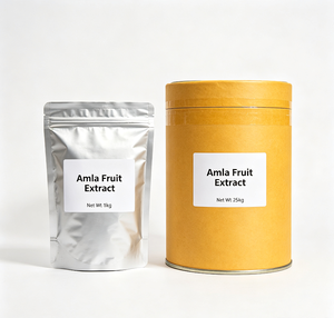 <span class=keywords><strong>Poudre</strong></span> <span class=keywords><strong>d</strong></span>'extrait de fruit <span class=keywords><strong>d</strong></span>'<span class=keywords><strong>Amla</strong></span>, extrait de fruit de Phyllanthus Emblica 20:1, qualité alimentaire - Product Image 3
