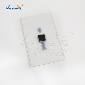 Modèle génétique du groupe sanguin, kit de test du groupe sanguin ABO, modèle de biologie pour collège - Product Image 3