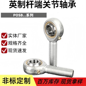 Roulement d'extrémité de tige impérial POSB3 4 5 6 7 8 10 12 16, connecteur œil de poisson à filetage externe de précision P4 - Product Image 5