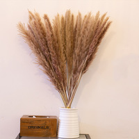 Rumput Pampas Kering Premium Buatan Tangan yang Diawetkan |   Gaya Boho untuk Dekorasi Pernikahan, Natal, Wisuda, dan Rumah - Tahan Lama 3-5 Tahun