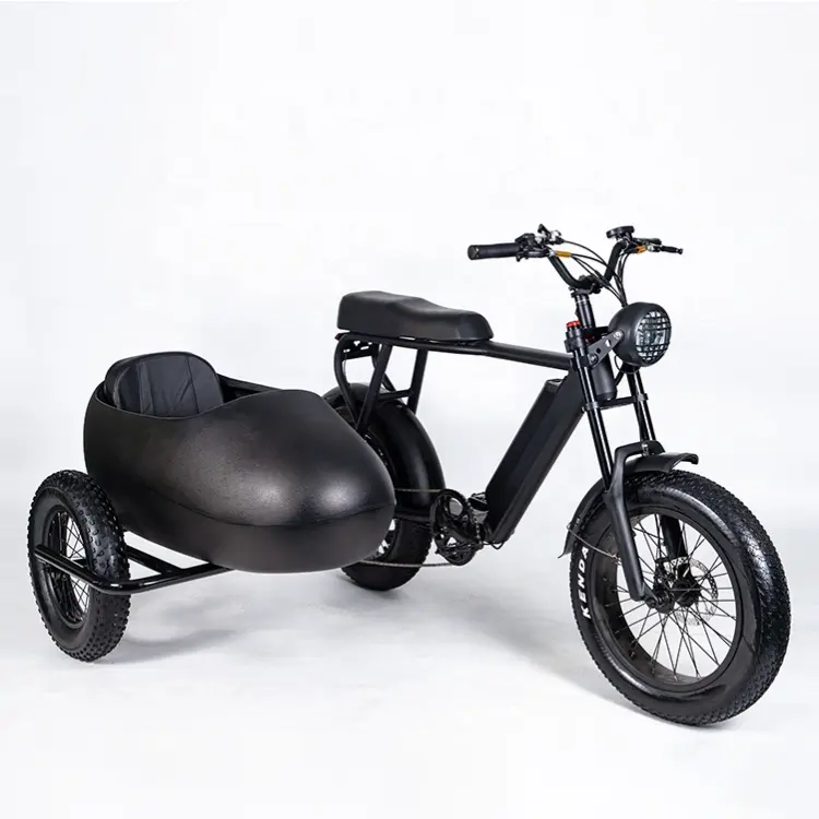 Yan araba yağ Pedelec 500w yan E bisiklet Sidecar elektrikli bisiklet yağ Vintage Sidecar E bisiklet 750w E bisiklet yan kova/araba