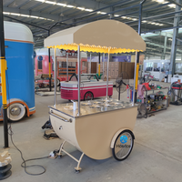 Chariot mobile réfrigéré pour la vente de glaces et de gelatos, avec auvent, idéal pour la distribution de bâtonnets glacés