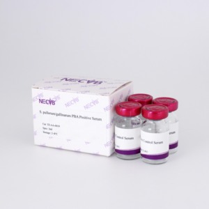 Suero de control de antígeno de aglutinación Salmonella Pullorum/Gallinarum para pruebas avícolas - Product Image 5