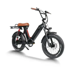 Greenpedel-bicicleta eléctrica de carga, 48v, 750w, 20 pulgadas, neumático ancho