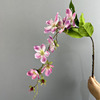 Impresión 3D <span class=keywords><strong>de</strong></span> un diseño <span class=keywords><strong>de</strong></span> escena floral <span class=keywords><strong>de</strong></span> seda <span class=keywords><strong>de</strong></span> alta gama con jazmín suspendido y manzanilla artificial. - Product Image 2