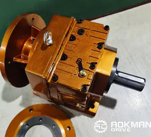 Motor de engrenagem da série r da caixa de engrenagens da eficiência alta com eixo oco