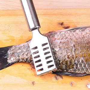 Outil de nettoyage rapide et efficace en acier inoxydable, brosse à peau de <span class=keywords><strong>poisson</strong></span>, outils de préparation des fruits de mer de cuisine, brosse à écailles de <span class=keywords><strong>poisson</strong></span> - Product Image 2
