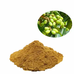 Olive Leaf Extract Supply Olive Leaf Extract 40% Oleuropein Olive Leaf Extract Powder