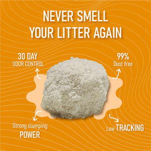 Pasir Kucing Tapioka Grosir, Pasir Kucing Alami Berbahan Dasar Tumbuhan, Pengontrol Bau Kuat, Menggumpal untuk Kucing - Product Image 6