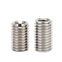 M2.5 M3 M4 M5 M6 M8 M10 M12 304 Acier Inoxydable Intérieur Extérieur Filetage Adaptateur Vis Filetage Insert Manchon Conversion Écrou