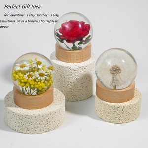 Hợp Thời Trang Trang Trí Nội Thất Pha Lê Bóng Quà Tặng Mới Lạ Khá Hoa Anh Đào Đào Bồ Công Anh Bảo Quản Nhựa Cho Năm Mới Giáng Sinh - Product Image 4