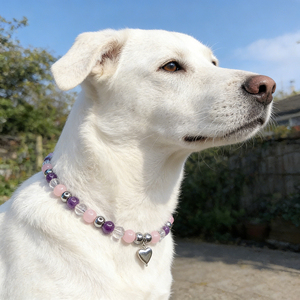2026 <b>Dog</b> Healing Crystal Necklace pet Decorative necklace Sparkling Crystal Pet Natural <b>Beads</b> Pet Neck <b>Collar</b> Accessory - Product Image 2