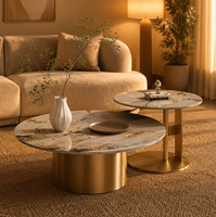 Ensemble de tables basses écologiques et durables pour deux personnes, cadre en acier inoxydable doré, table d'appoint de luxe en marbre, meubles de salon