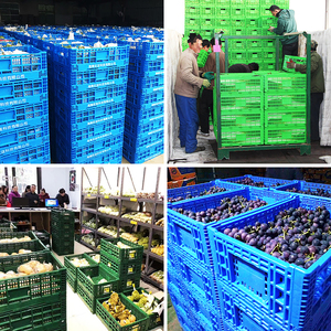 โรงงานขายส่ง กล่องพลาสติกพับได้แบบมีรูระบายอากาศ กล่องเก็บผักผลไม้แบบพับได้ ซ้อนกันได้ - Product Image 5