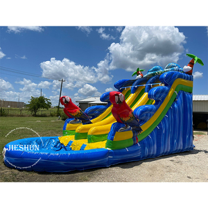 Groothandel Grote 15ft Tall Papegaai Slide Kids Dual Slide Opblaasbare Glijbaan Met Zwembad Te Koop - Product Image 1