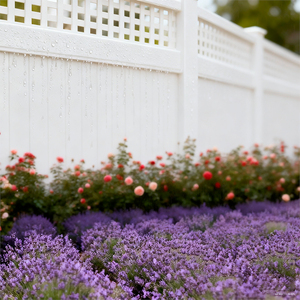 Nhà sản xuất cung cấp 6x8 chân trắng nhựa <span class=keywords><strong>PVC</strong></span> Vinyl đầy đủ sự riêng tư hàng rào Panels với bài - Product Image 3