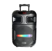 Haut-parleur personnalisé 40W gamme complète 12 pouces karaoké à roulettes Haut-parleur super bass à roulettes pour l'extérieur haut-parleurs portables avec microphones