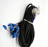 Kabel Harness Tugas Berat Khusus dengan Konektor Plastik Biru & Terminal Berinsulasi Transparan untuk Peralatan & Perlengkapan Rumah Tangga