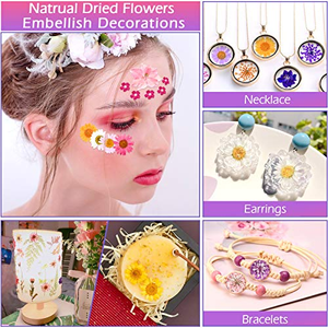 ดอกไม้แห้งอัดรีดสำหรับงานเรซิ่น ชุดรวมแบบขายส่ง ดอกไม้สดจริงอัดรีดเป็นธรรมชาติ - Product Image 5
