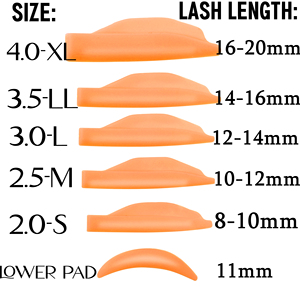 Miếng Dán Nâng Mi, Thanh Uốn Cong Làm Đẹp Lông Mi, Tấm Chắn Nâng Mềm Dụng Cụ Uốn Cong Cỡ 6 Mega L Bảo Vệ Uốn Cong Để Uốn & Nhuộm Màu - Product Image 3