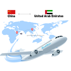 중국에서 UAE까지 항공 운송 대행업체, 화물 운송, 도어 투 도어 배송, 아랍에미리트 3PL 물류 서비스 - Product Image 1