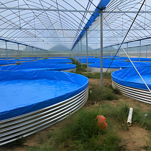 Wholesale Hot Moveable Tilapia Indoor Fish Farming Tank Equipment Outdoor Large Farm Equipment <b>Plastic</b> Fish <b>Pond</b> - Product Image 4