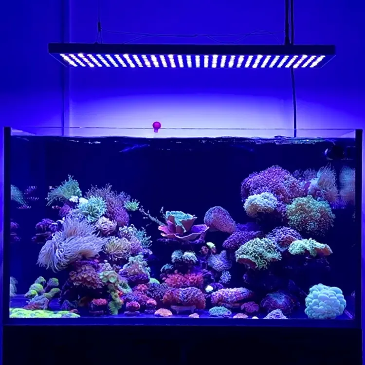 Barra de luz LED para aquário aquático ajustável MICMOL Aqua Max Regulável para aquário aquático de espectro completo para recife de coral