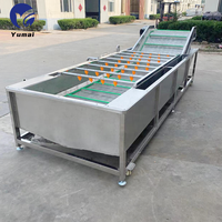 Industriële automatische warmwater mango, drakenvrucht en groente bubbelwas- en droogmachine met ozon