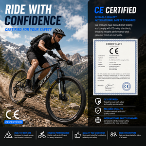 Bicicleta de Montaña de 27.5/29 Pulgadas, 12 <span class=keywords><strong>Velocidades</strong></span>, Frenos de Disco Hidráulicos, Neumáticos Maxxis 29x2.1, Manillar Integrado de Carbono, OEM - Product Image 5
