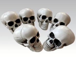Miniatura Realista <span class=keywords><strong>de</strong></span> Calavera para Halloween, 6 Piezas <span class=keywords><strong>con</strong></span> Textura Detallada para Decoración Espeluznante <span class=keywords><strong>de</strong></span> Mesa, Suministros para Fiestas <span class=keywords><strong>de</strong></span> Casas Encantadas - Product Image 5