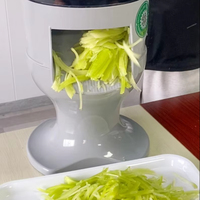 Machine à couper les légumes multifonctionnelle professionnelle, trancheuse électrique commerciale pour les frites, usine de transformation des légumes