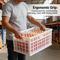 Conteneur en plastique pliable en maille, empilable et ventilé, pour l'élevage de volailles, boîte de rangement durable et écologique