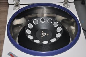 Factory Price Low Speed Laboratory <strong>Centrifuge</strong> with Angle Rotor for Clinical Use Benchtop Centrigugal Lab Equipment - Product Image 4