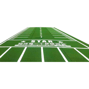 Tùy Chỉnh Trong Nhà Phòng Tập Thể Dục Thảm Cỏ Cá Nhân Đào Tạo Mô Phỏng Màu Đen Màu Xanh Lá Cây Trắng Turf Vật Liệu Cao Su Cỏ Nhân Tạo Sàn - Product Image 2