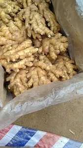 高品質中国産新鮮生姜 GAP認証済 山東省農場直送 ヘリブランド 中国産 10kg 調理用 - Product Image 3