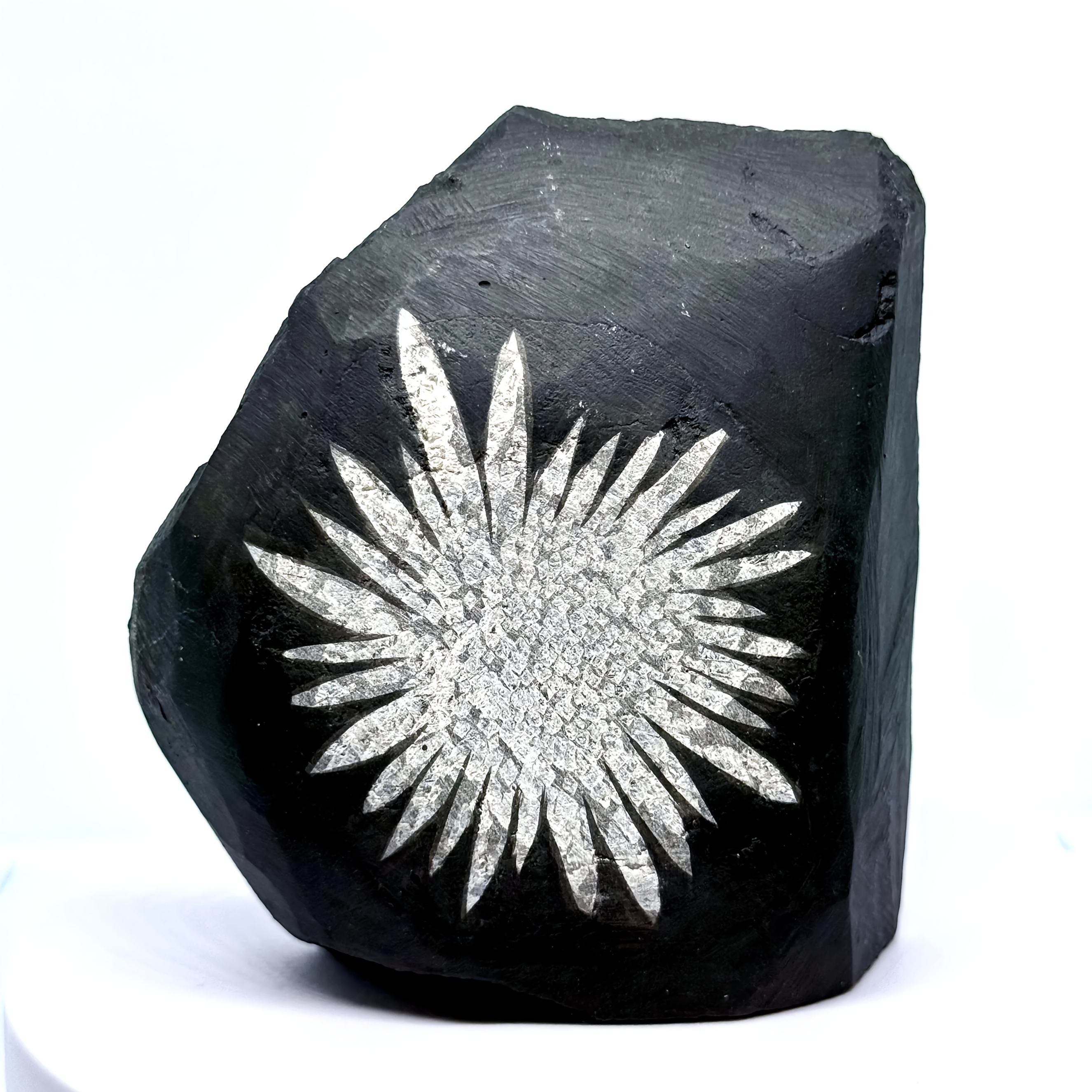 ตัวอย่างหินดอกเบญจมาศ