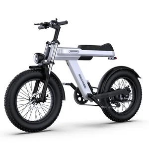 नई डिजाइन उच्च गुणवत्ता वाली ई बाइक चीन निर्माता अनुकूलित 15Ah इलेक्ट्रिक बाइक 48V 1000W इलेक्ट्रिक माउंटेन बाइक फुल सस्पेंशन