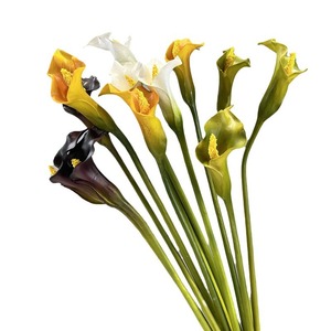 AR-570 PU Matériel épais 65CM Calla artificielle <span class=keywords><strong>Arum</strong></span> Petite tête 11CM pour la décoration de la maison - Product Image 3