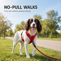 Harnais anti-traction OKPET pour chien, à clip frontal, type martingale, réglable, en nylon respirant, pour la promenade