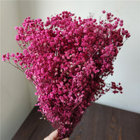 Yopin-2226 Groothandel Gedroogde Gypsophila Bloemen Bruiloft Geconserveerde Baby Adem Bloem