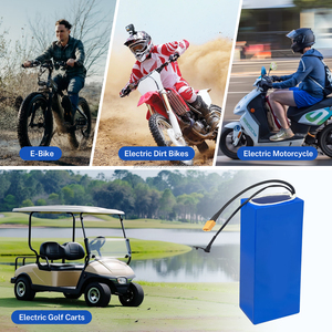 Chargeur de batterie personnalisé UE avec BMS 36V 48V 52V pour batterie lithium de vélo électrique, tricycle, moto, porte-bagages arrière - Product Image 6