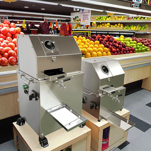 Extractor de Jugo de Caña de Azúcar Comercial de Acero Inoxidable de Alta Resistencia con Motor de 450W - Product Image 1