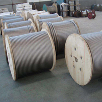 202 0.9mm 1 Mm 1.3mm 1.4mm 1.8mm 2.5 Mm 316 Tig paslanmaz çelik tel