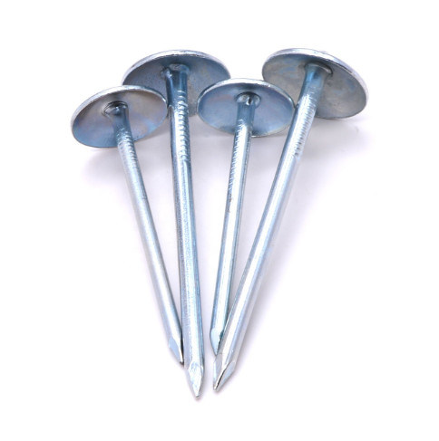 Cheap Steel Smooth Shank Wire Coil